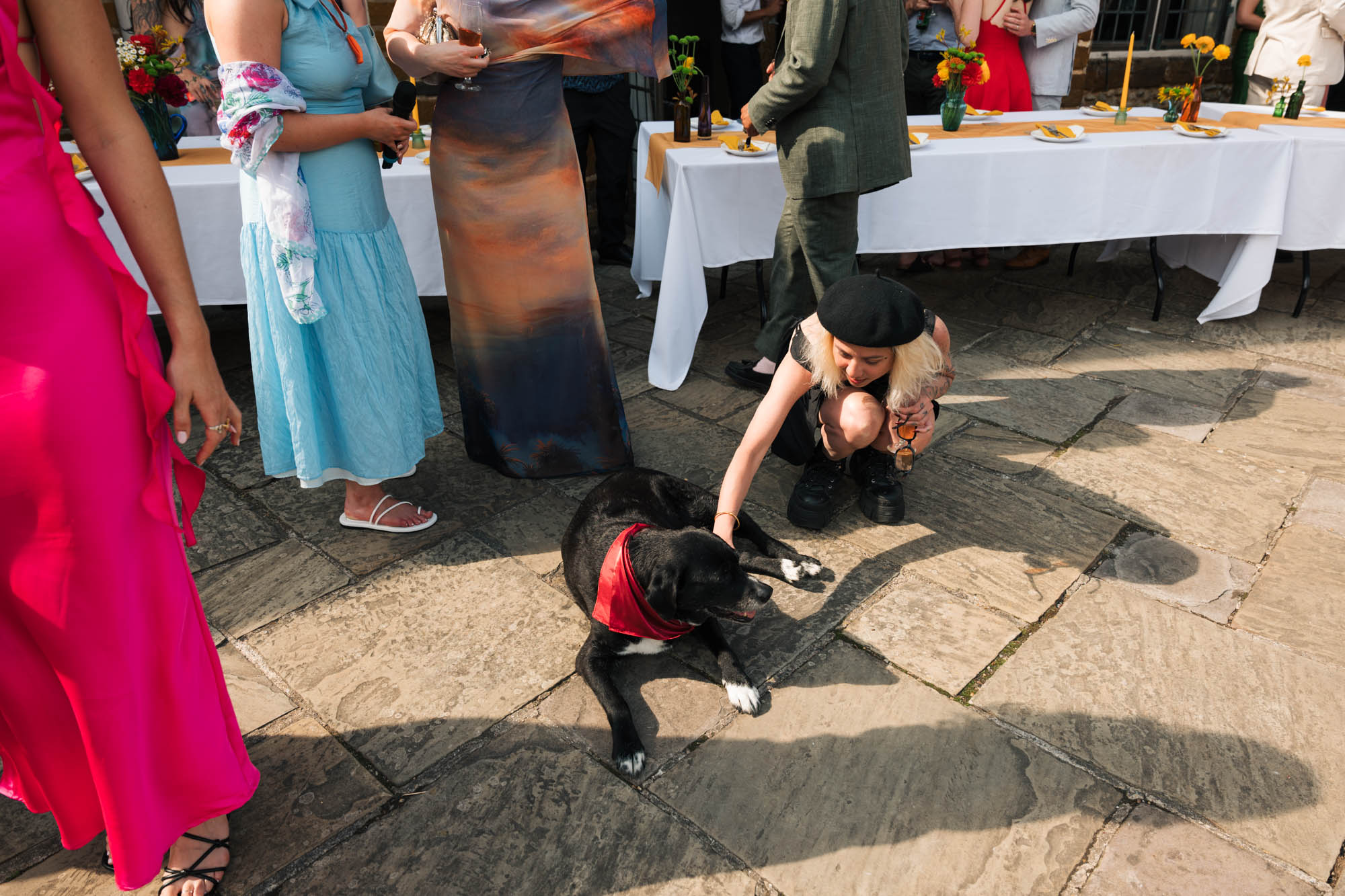 dogs at weddings